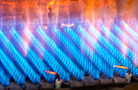 Ruaig gas fired boilers